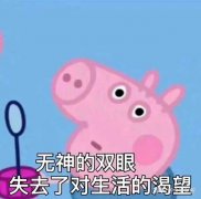 公司注销大概多少费用