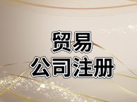 注册外资公司公司咨询服务